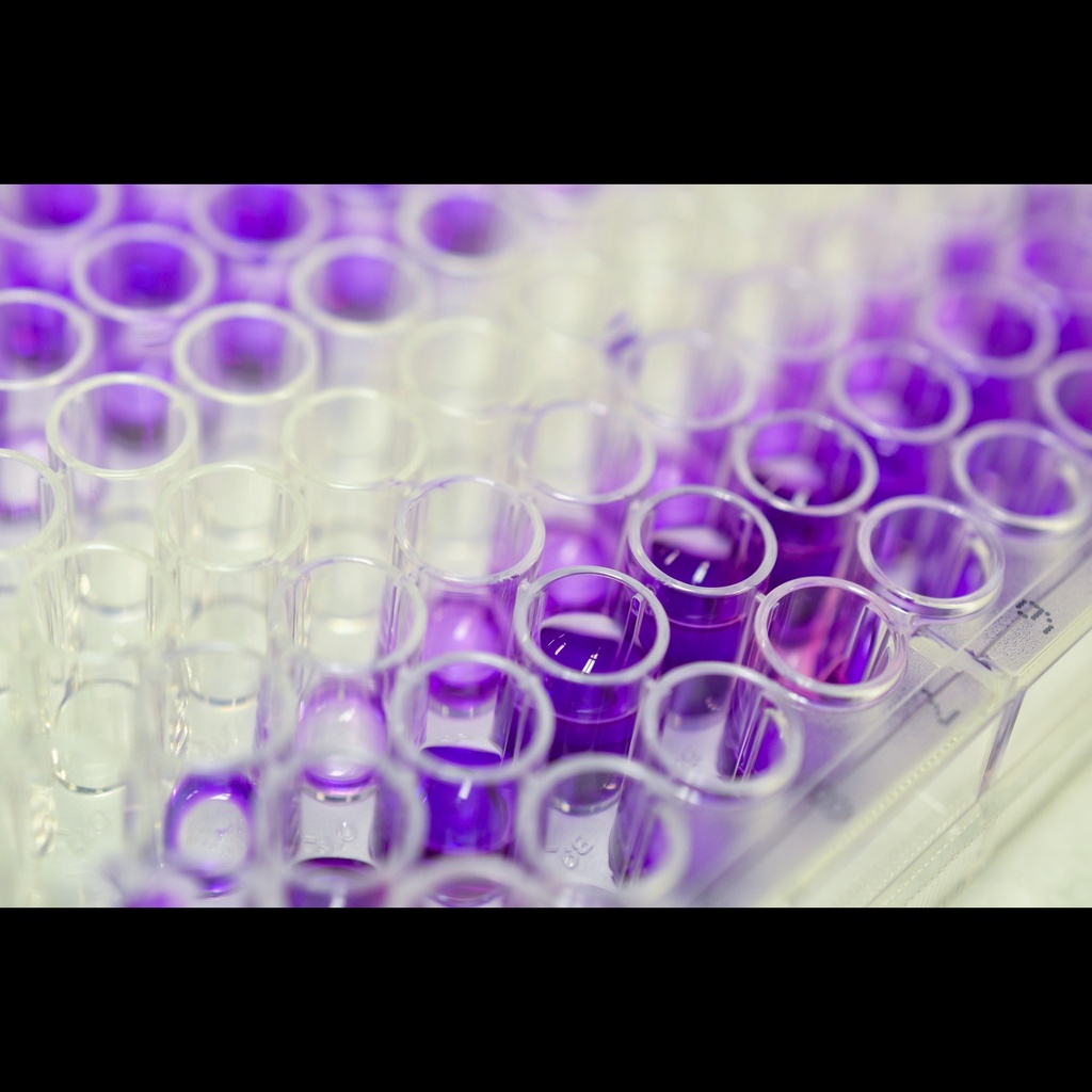Horse Insulinsize:like Growth Factor 2, IGF2 ELISA Kit size: 96 Tests